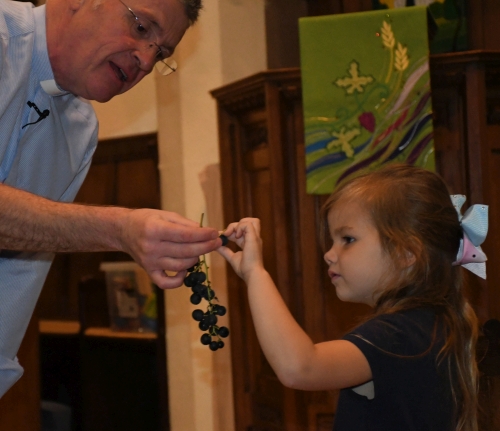 Trying a homegrown grape Star church